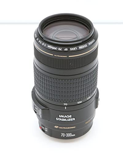 Canon EF 70-300mm f/4-5,6 IS USM Objectif Noir