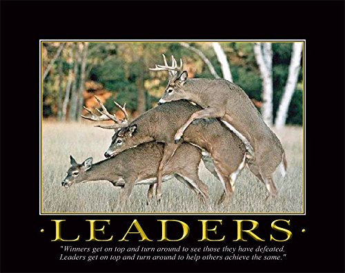 dreibinden Deer Motivational Poster Kunstdruck 11 x 14 Schleife Jagd Buck Commander Wand Decor Bilder