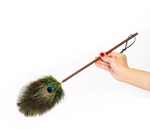 Plumero de cola de pavo real con mango de bambú, acabado natural, herramienta clásica para quitar el polvo y decoración del hogar