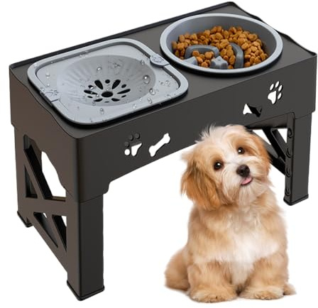 Distributeur De Nourriture Surélevé Anti-Glouton,Gamelle Anti-Glouton Surélevée pour Chien - Distributeur Anti-Renversement pour Nourriture Et Eau Adapté Aux Chiots Et Animaux De Compagnie
