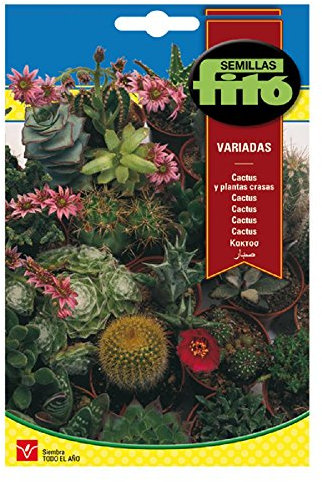 Semillas Fitó Cactus y Plantas Crasas Variadas