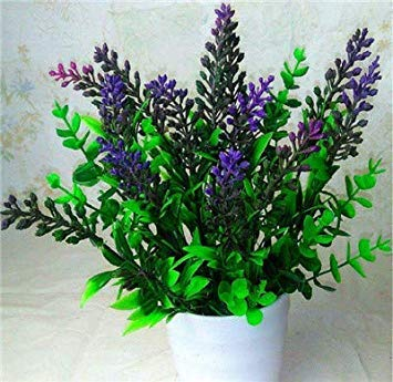 . 100 Stück Lavendel-Kräuter-Garten Balkon Pot Vier Jahreszeiten Blumen für Zimmerpflanzen 9