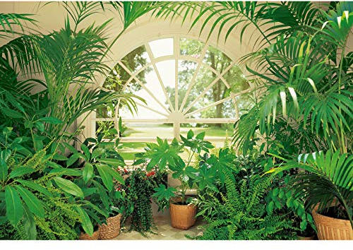 Wintergarten Fototapete in Grün | Pflanzen Fototapete mit Fensterblick auf Garten | 3D Tapete mit Fenster ideal für Schlafzimmer und Wohnzimmer