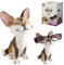 Opti Paws Porte Lunettes Happy Cat 8052