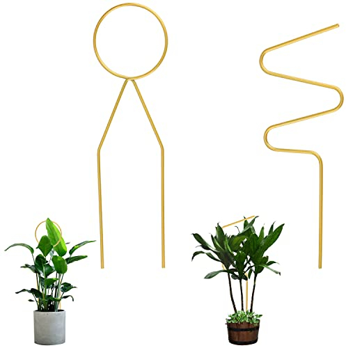 Prmape 2 Pièces Treillis de Jardin pour Plantes Grimpantes, Tueur Plante Grimpante, Support de Plantes Extérieur Tige Métal pour Plantes de Jardin et d'Intérieur