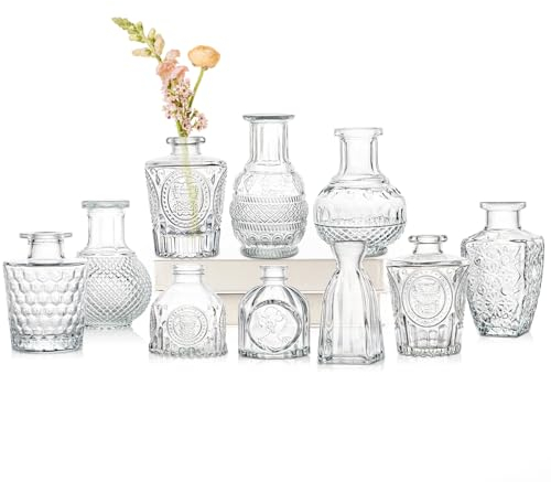 10er-Set Kleine Vasen Kleine Glasvase Vintage Deko Vasen Set Blumendekoration für Tischdeko Mittelstücke, Hochzeitsdekorationen, Blumen Deko Wohnzimmer Bad Muttertagsgeschenk, Transparent