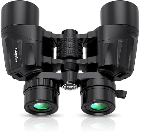 Fernglas mit 6-16 x 40 Zoom für Erwachsene | leistungsstarkes Militär-Fernglas für Vogelbeobachtung, Reisen, Jagd, Konzerte mit großer Sicht, BAK4, FMC-Objektiv