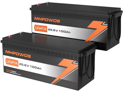 2 batterie al litio LiFePO4 da 25,6 V, 100 Ah, con BMS da 100 A, max 2,56 kWh grado A, batterie al litio da 4000 a 15000 cicli, perfette per Home Off-Grid Solar Power System, RV, Marine