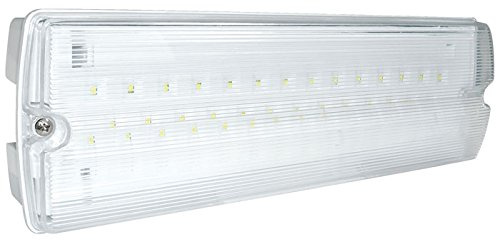 YESSS LED Maintained Emergency Bulkhead