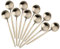 Luz Oro Cucharilla Acero Inoxidable 18/10 Cuchara de Café, Bisda Redondo Mini Pastel Cuchara Mate Pulido Cucharilla Conjunto de 10