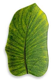 York Floreale Vassoiofoglia Medio 37.6 X 23 Cm In Melamina