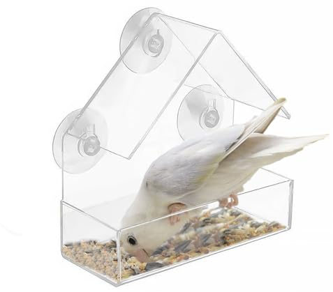 1 mangiatoia triangolare per uccelli, per finestre, in acrilico con ventosa, adatta per l'alimentazione di uccelli selvatici e animali domestici (15 x 15 x 6 cm)