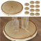 Cepewa Baumscheibe 12er Set Holzscheibe │ Birke Naturprodukt Ø12x1cm │Scheibe Holz Holzplatte Dekoelement (1 x 12er Set Baumscheibe Ø12x1cm)