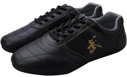 Martial Arts Tai Chi Shoes, Chinese Traditional Kung Fu Sport Sneakers,Taekwondo Training Wing Chun Wushu Qi Gong Walking Shoes for Men Women(Size:42EU,Color:Black)
