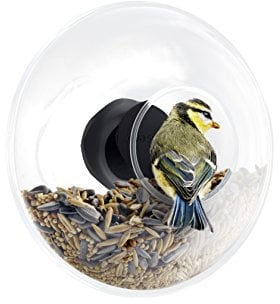 EVA SOLO | Vogelfutterkugel für Fensterscheibe | Fensterfutterkugel | Man kommt der Vogelwelt ganz nah; kleine Vögel können Sich problemlos an der Kante niederlassen | Outdoor