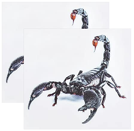 Create idea 2 Stück 3D Lebensechte Skorpion Aufkleber Simulation Reptil Aufkleber Selbstklebendes PVC Dekoratives Emblem Abzeichen für Auto Motorrad Fenster Wand Laptop