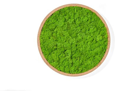 WandMagie Moosbild rund aus echtem Islandmoos hellgrün mit Rahmen I Großes Pflanzenbild (40cm) mit grünem konservierten Moos