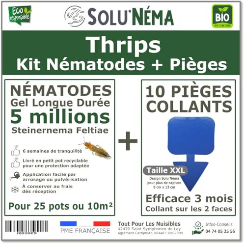 Kit Nématodes 5 millions + 10 pièges collants XXL - Contre Les Thrips - Formulation Gel Longue Durée pour traiter 25 pots