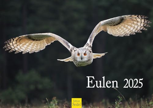 Edition Seidel Premium Kalender Eulen 2025 Format DIN A3 Wandkalender Eulenkalender Vogelkalender Eule Uhu Vogel Wildvogel