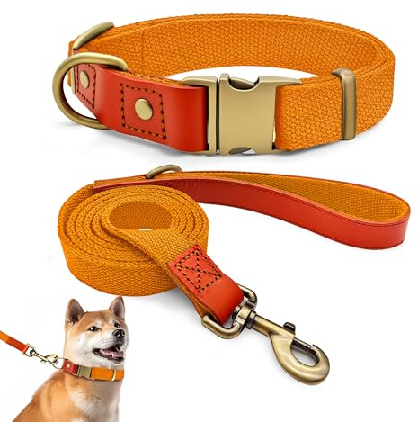 Hundehalsband und 150cm Leine Set L, Nylon Leder Orange | Verstellbares Set 2cm Breit Für Große Hunde, Reißfester Nylon-Leder Mix, Vintage Messing-Optik Verschluss, Outdoor