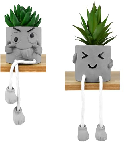 Maxmoc 2 Small Artificial Plants Indoor,Potted,Succulent,Home decor | Fake plants, 2 pack, potted succulent with hanging leg, for office, bedroom, bathroom, home decor, low maintenance, realistic