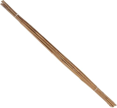 floraworld Tonkin-Pflanzstab, Durchmesser 8-10mm 120cm 10er Bund