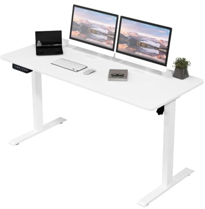 Panana Electric Standing Desk Height Adjustable Desk Ergonomic Stand Up Desk with Memory Setting (White, 120 x 60 cm)