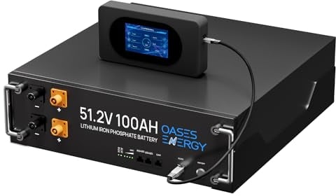 Oasesenergy Batteria al litio 48V 100Ah LiFePO4 scalabile, BMS 100A incorporato, 5120Wh con display intelligente tattile 4000~15000 cicli, perfetta per case solari, camper, impianti off-grid