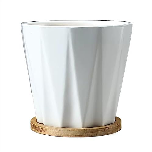 Ensemble de pots de fleurs simples en céramique avec plateau - Grand pot de fleurs de couleur unie pour plantes succulentes - Motif prismatique - Idéal pour les plantes vertes et les fleurs