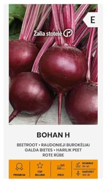 Zalia stotele | Rote Beete - BOHAN H Gemüsesamen | Hybride | Runde, glatte Knollen | Dunkelrotes, süßes Fruchtfleisch | Lange Lagerung | Beete & Garten Saatgut | 1 Pack