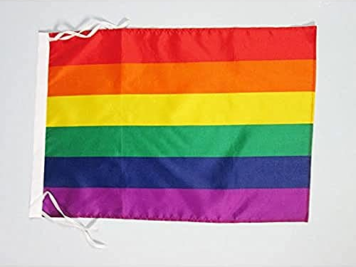 BANDERA ARCOIRIS 45x30cm - BANDERINA GAY – RAINBOW 30 x 45 cm cordeles - AZ FLAG