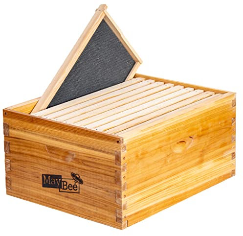 10 Rahmen Bienenstock Box Langstroth Tief Brutkasten in Bienenwachs getaucht inklusive Holzrahmen & gewachsten Fundamenten (zerlegt)