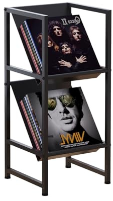 VonDream Conceptual Design Vinyl Record Storage, 2 Tier Black Metal Record Holder, Stylish Storage Solution for Your Collection