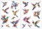 Everjoy Realistische Aquarell-Kolibris temporäre Tattoo-Aufkleber – wasserfeste Fake-Tattoos für Frauen und Mädchen