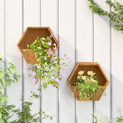 ZEYUAN Jardineras de Pared 2 uds, Macetero, Macetas para Flores y Plantas, Macetero para Jardin, Acero corten Gris 30x10x25 cm