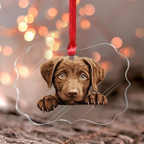 Peeking Chesapeake' Bay Retriever Hängeornamente, bunte Hundekunst, Schmetterling, Weihnachtsbaum, Ornament, Andenken, abstraktes Haustier-Welpen-Gemälde, Acryl-Weihnachtskugel für
