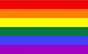FRIP - Regenbogen Rainbow Fahne Flagge Grösse 1,50x2,50m XXL