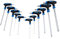 BITUXX 11 tlg. Innensechskant T Schraubendreher Set Steckschlüsselsatz Schraubenzieher Quergriff 2-10mm Satz