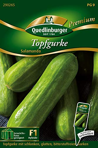 Quedlinburger 290265 Gurke Salamanda (Salatgurkensamen)