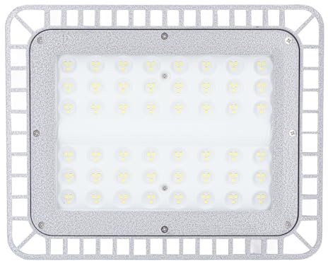 Fockety Explosionsgeschützte LED-Leuchte, 5000 K, 100 W, 12000 Lm, Lagerbeleuchtung, LED-Arbeitsleuchte, Außenstrahler für Spielplatz, Hof, Stadion, Rasen