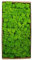 Sunydog Wall Picture with Real Moss,Konserviertes Moos Wanddekoration Echtes konserviertes Moos Keine Wartung erforderlich Natürlich konserviertes Moos für Home Wall Party Festivals Crafts Xmas Indoor