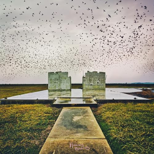 Blues Funeral / Cargo