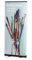 MultiBrands® Rollup Display Classic schwarz - JETZT SELBST GESTALTEN - mit eigenem Wunschmotiv, individuell Bedruckt, problemlos online editiert ohne Umwege (85 x 200 cm)