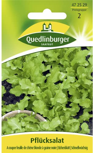 Pflücksalat 'A couper feuille de chên' Salatsamen Quedlinburger