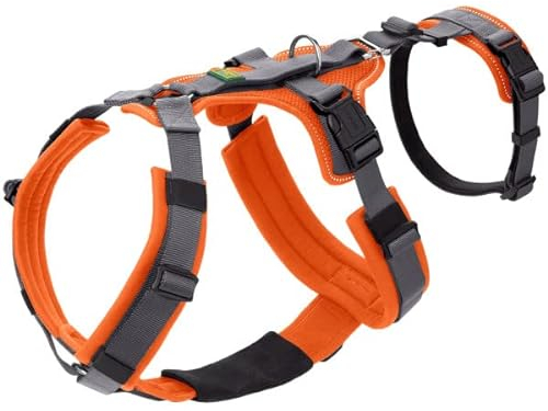Sicherheitsgeschirr Maldon Farbe orange/grau, Größe XS-S