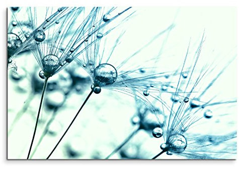 120x80cm Leinwandbild auf Keilrahmen Pusteblumen Wassertropfen Nahaufnahme Wandbild auf Leinwand als Panorama