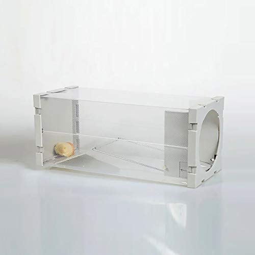 Tophomer Mäusekäfig Mausefalle EIN Artefakt um Mäuse leicht zu fangen Maus Lebendfallen Professionelle Kastenfalle，Garten Mausefallen Rattenfallen Weiß