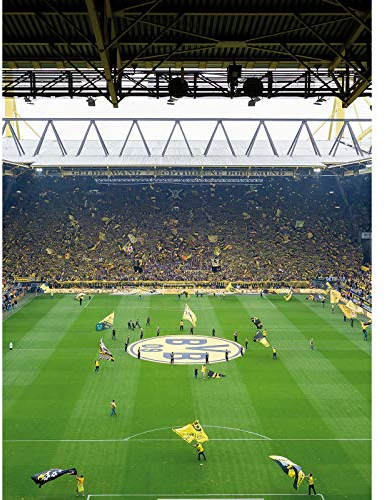 Designwalls 2.0 | BVB Fan Choreo DD119118 | Fußball Tapete für Büro Flur/Diele | Vlies Tapete Gelb Schwarz - 1,92 m x 2,6 m