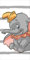 Jerry Fabrics Disney Dumbo Duschtuch Strandtuch Badetuch 70 x 140 cm