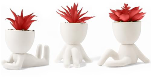 LUNIER Seated Succulent Set (Set of 3) | Porcelain Pots with Small Artificial Plants (Indoor) | Faux Plant for Indoors | Bedroom, Office Desk, Bathroom Plant-Set | Small Fake Plants, Shelf Decorations